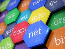 Pengaruh Nama Ekstensi Domain terhadap SEO Website