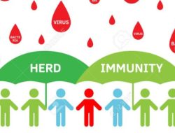Pengertian Herd Immunity