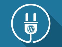 Daftar 7 Plugin WP Wajib Pasang di Website WordPress