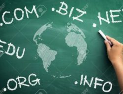 Pengertian Top Level Domain .Com, .Net, .Org dan Lainnya