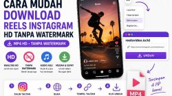 Download Video Reels IG
